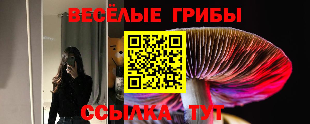 Псилоцибиновые грибы прущие грибы Среднеуральск
